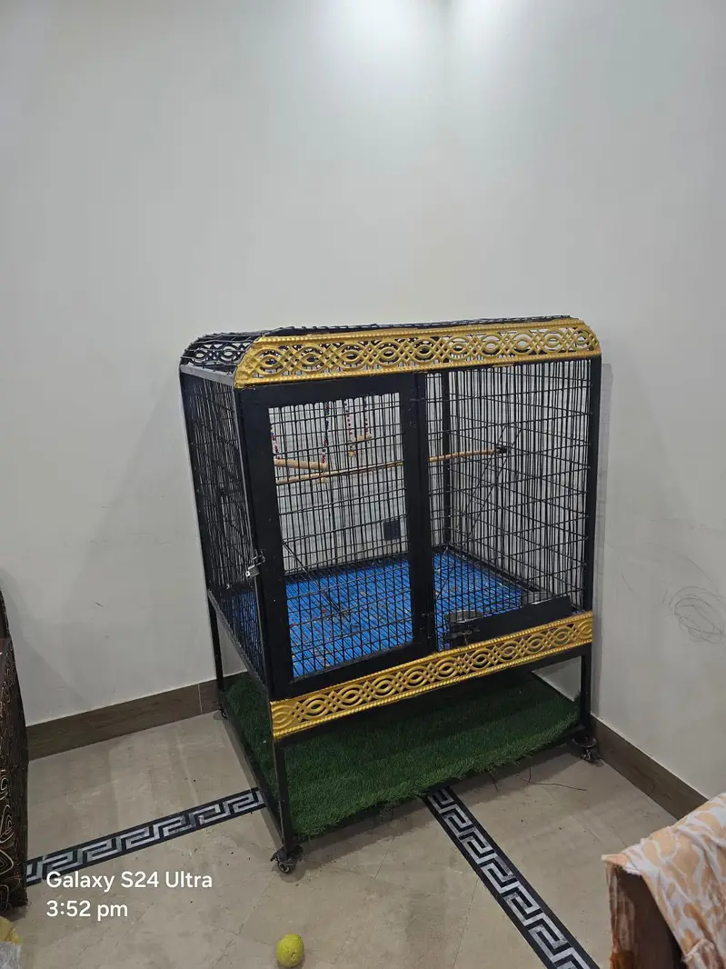 big iron cage for parrots . chichawatni — photo 2