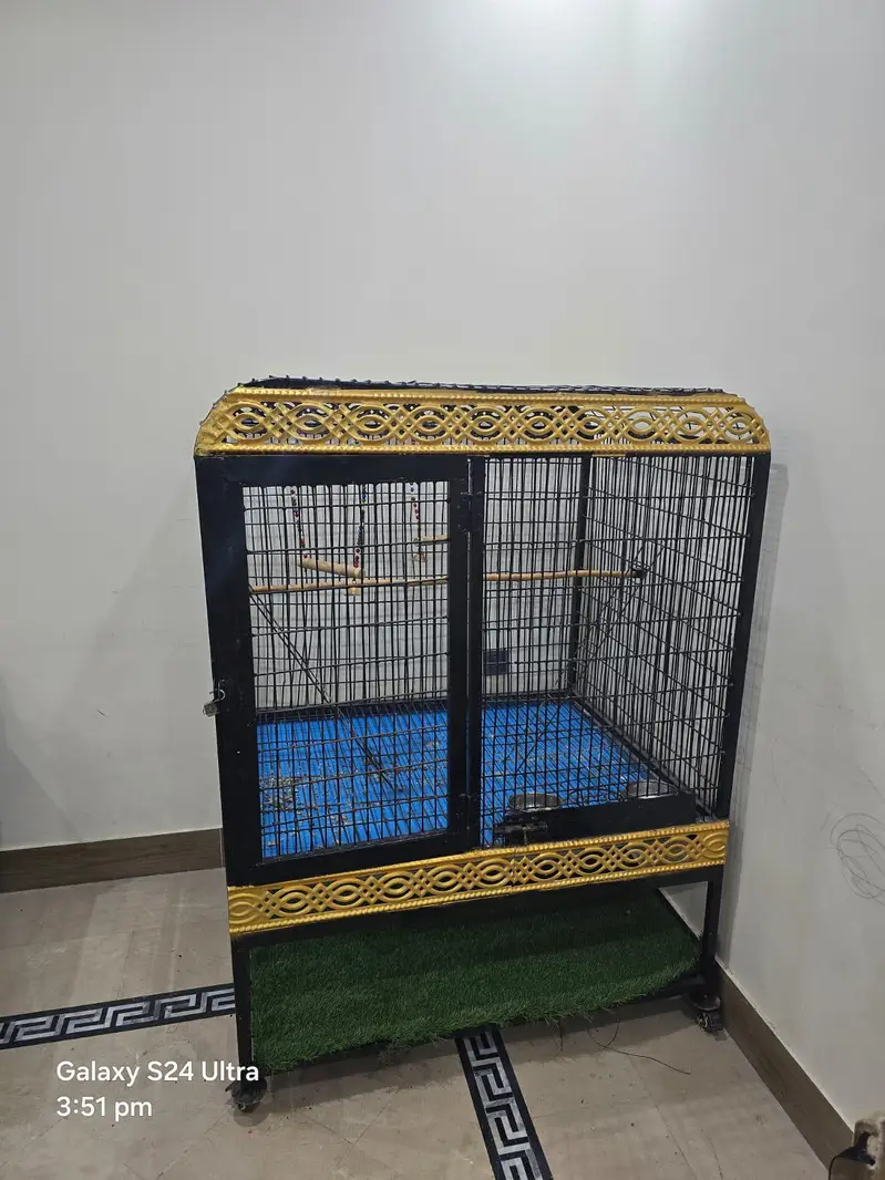 big iron cage for parrots . chichawatni — photo 4