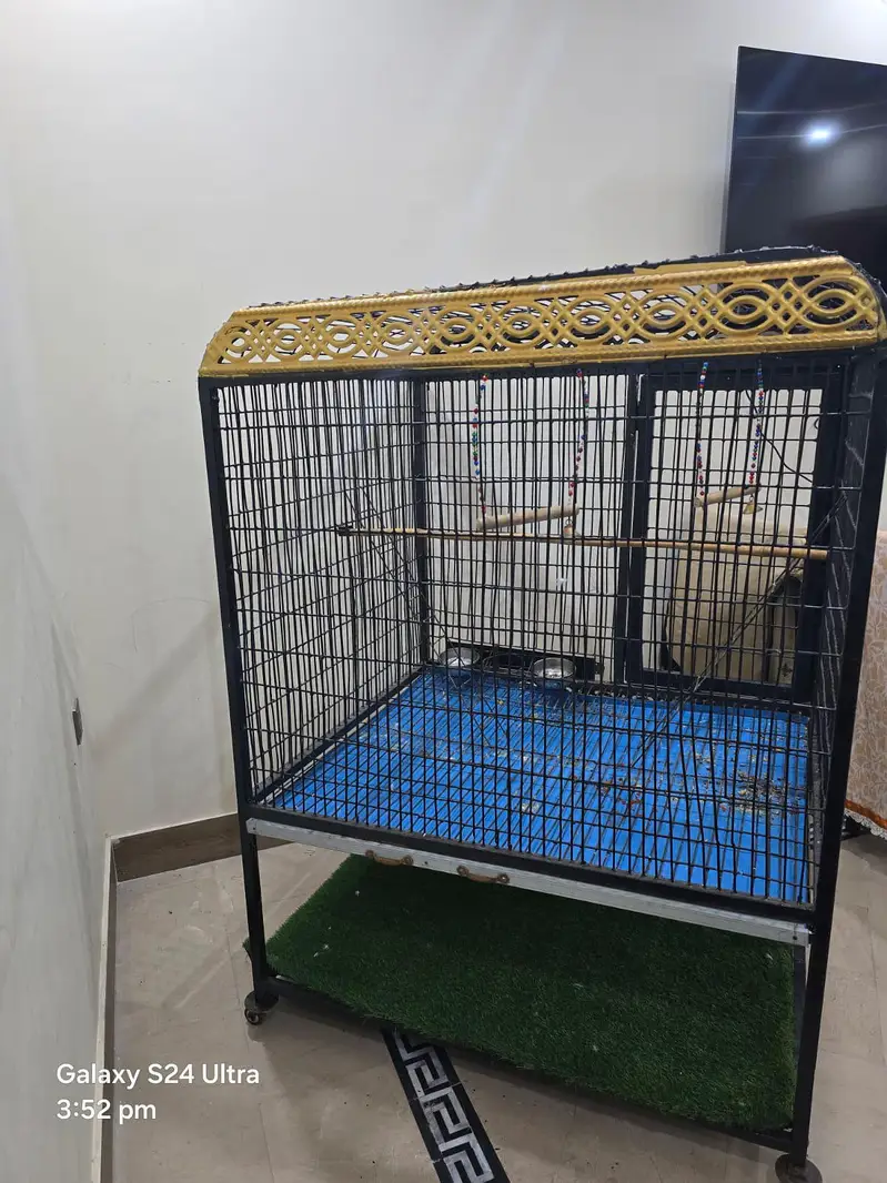 big iron cage for parrots . chichawatni — photo 5