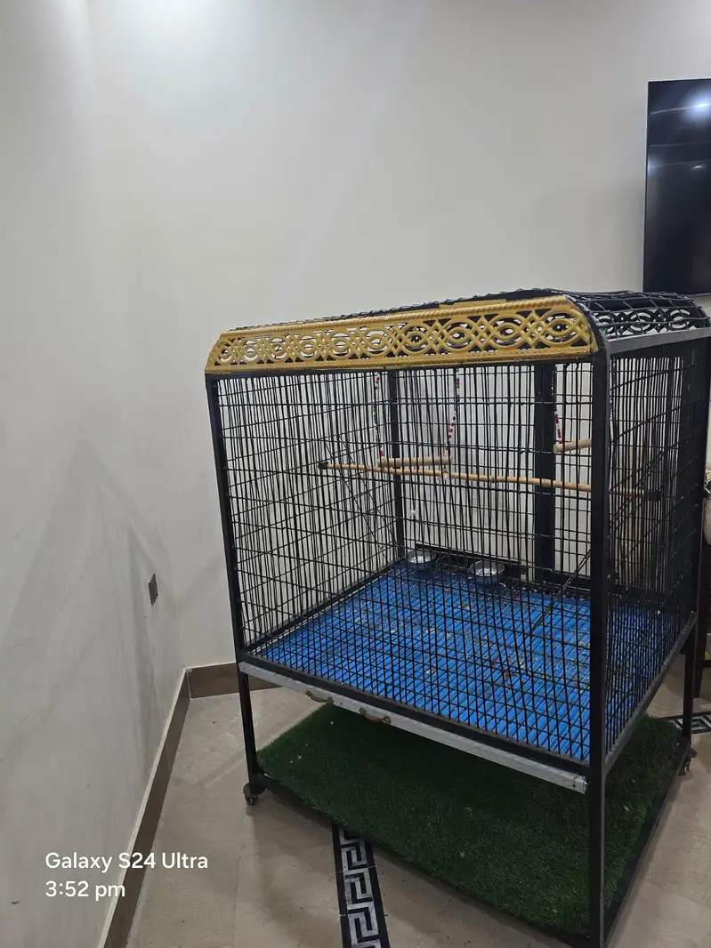big iron cage for parrots . chichawatni — photo 6