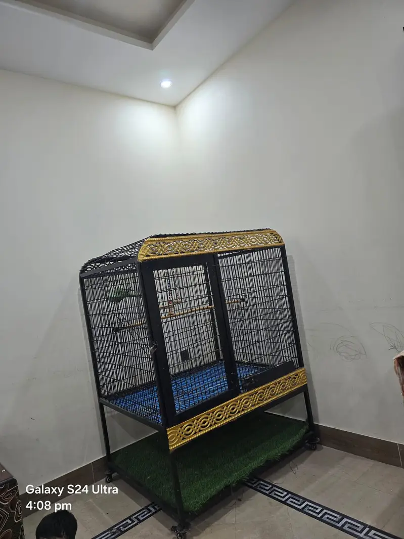 big iron cage for parrots . chichawatni — photo 7