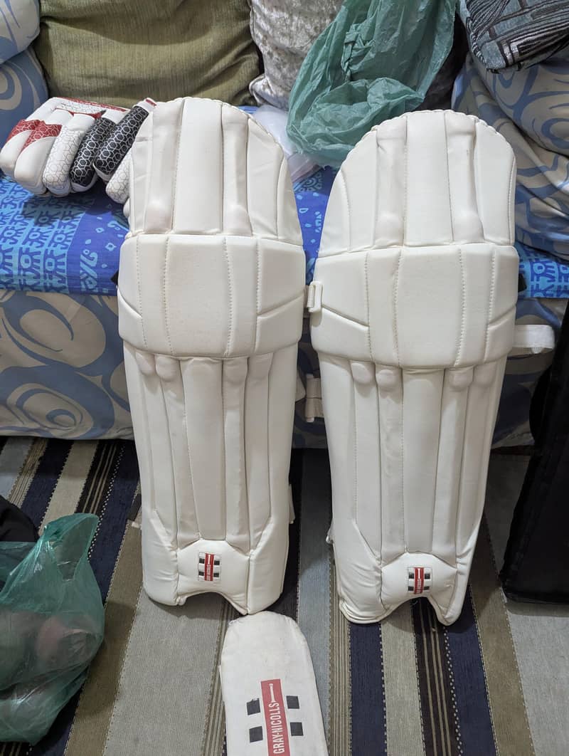 cricket kit 6