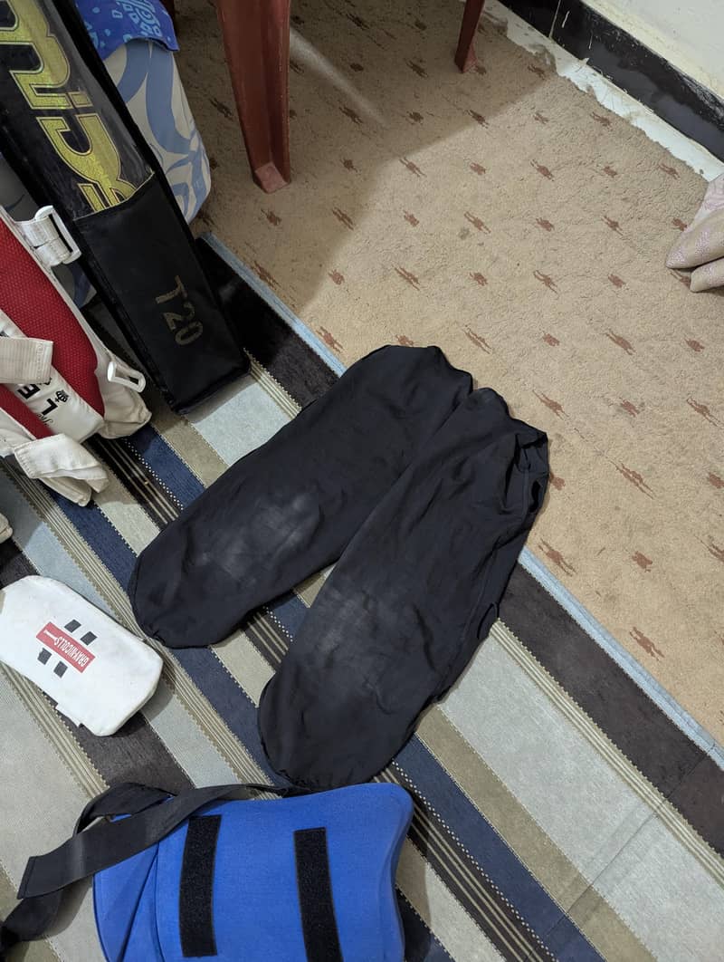 cricket kit 12