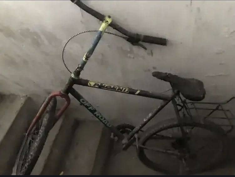 Cycle gear 4