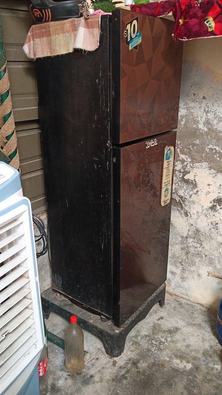 Pel Fridge 10/10condition 3