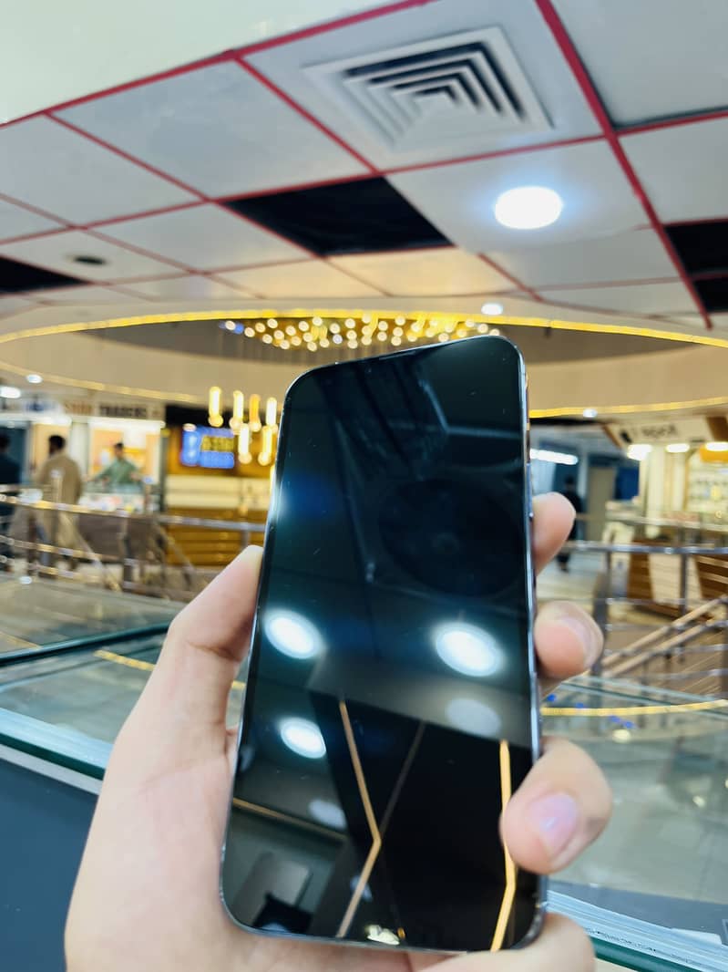Apple iPhone 13 Pro Max 1
