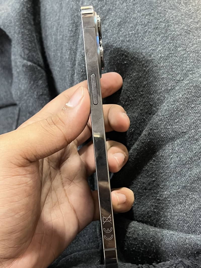 Apple iPhone 13 Pro Max 1