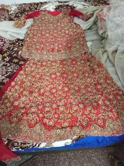 bridel lahanga 50%Discount 03009510525