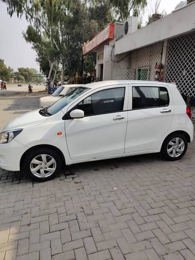 cultus vxl 2022