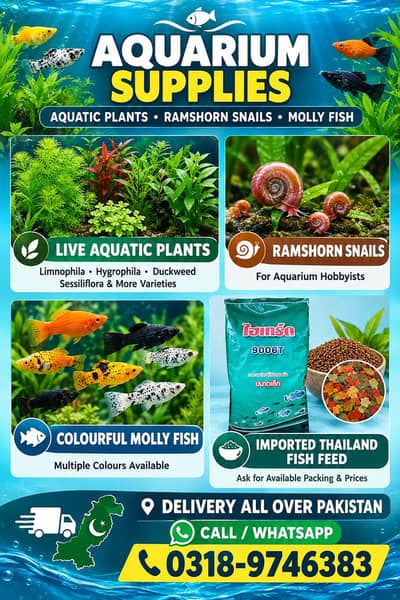equatic plants, live plants, equarium, plants, snails , fishes, fish.