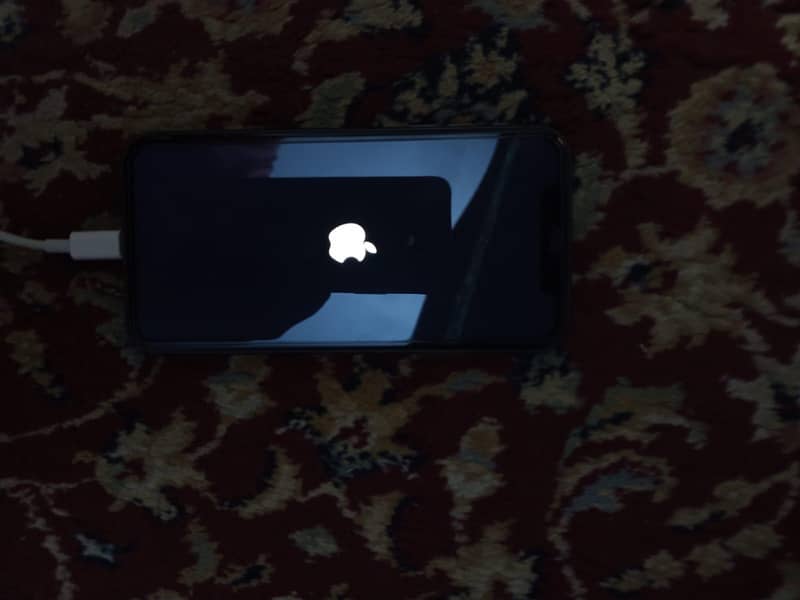 Apple iPhone 11 4