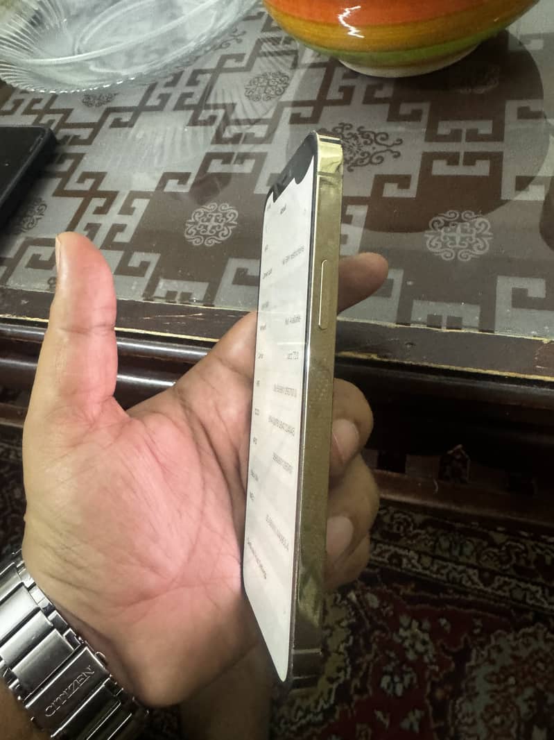 Apple iPhone 12 Pro 9