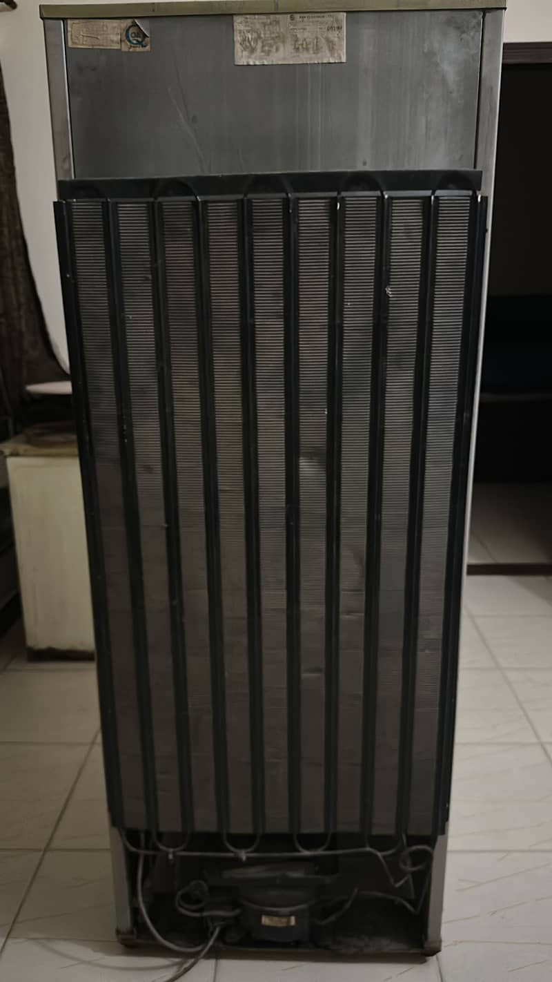 Pel fridge 3