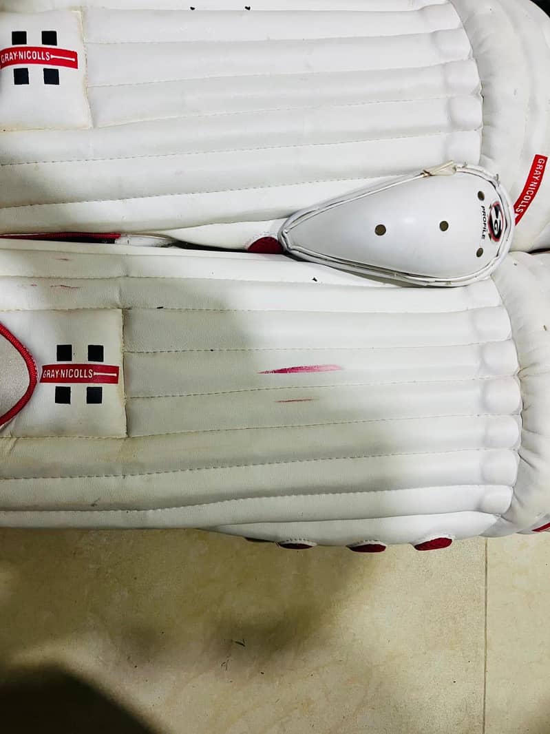 Cricket kit with bat 4