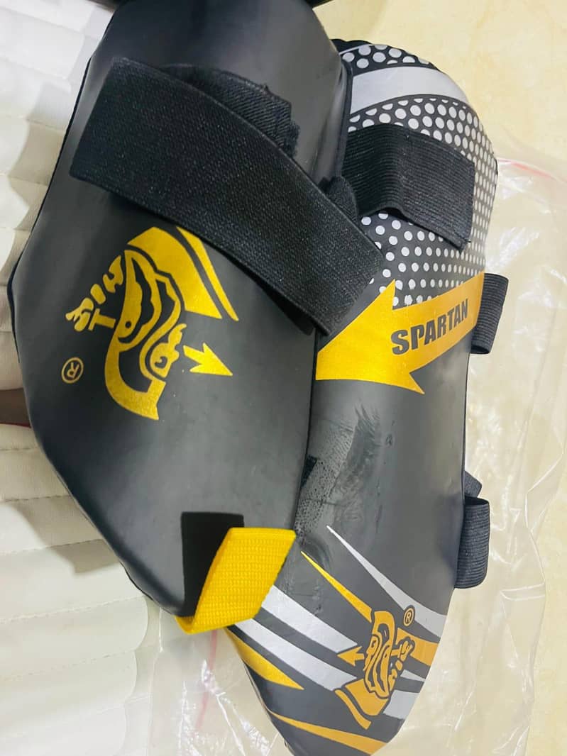 Cricket kit with bat 5