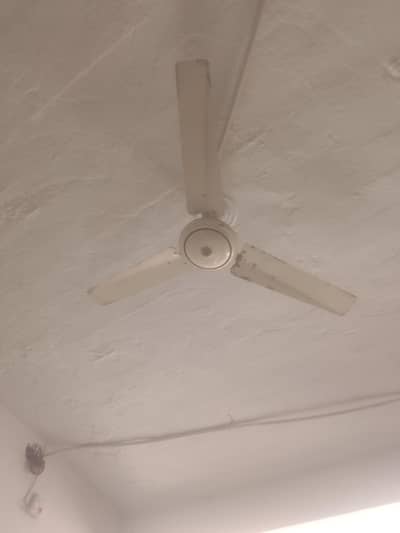 seeling fan