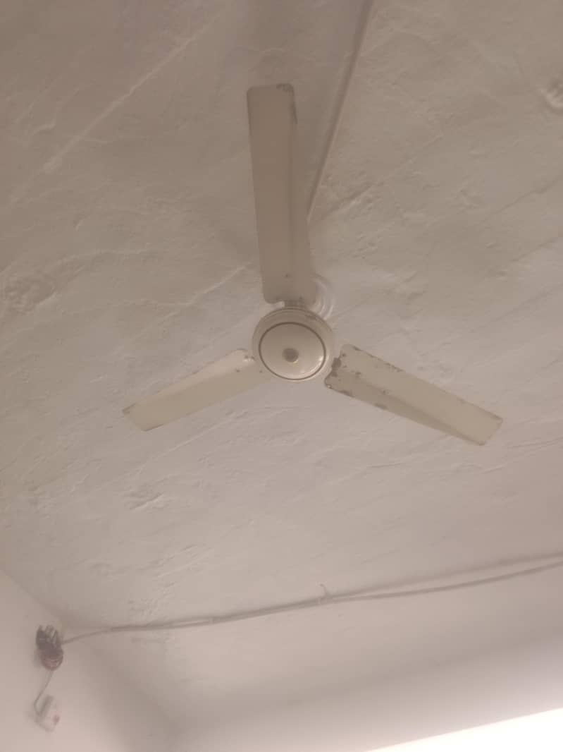 seeling fan 0