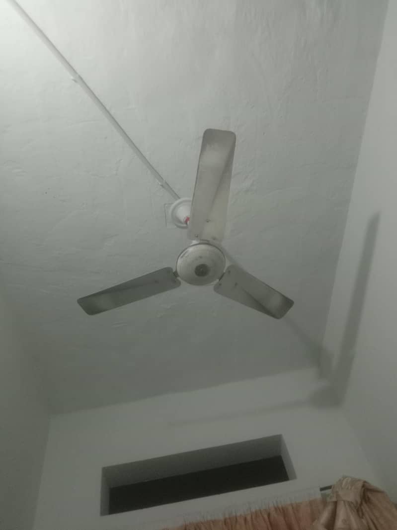 seeling fan 1