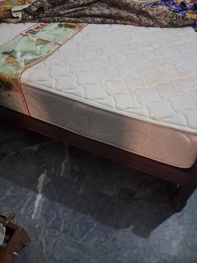 molty spring mattress alfa 78×66