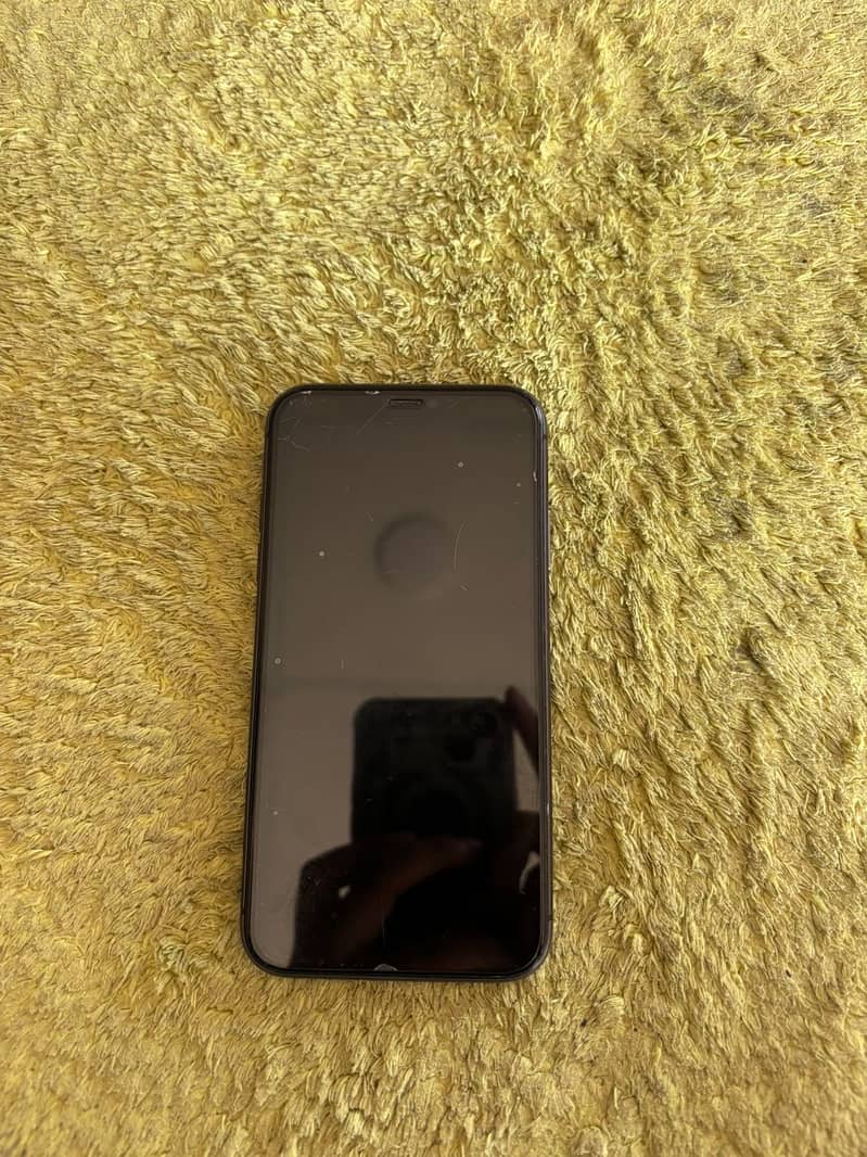 iPhone 11 Bypass 1