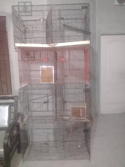 cages for parrots