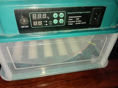 Incubator