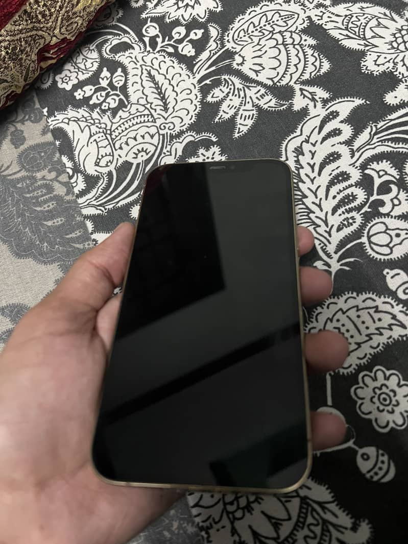 Apple iPhone 12 Pro 2