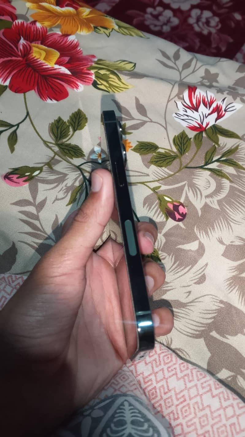 Apple iPhone 13 Pro 2