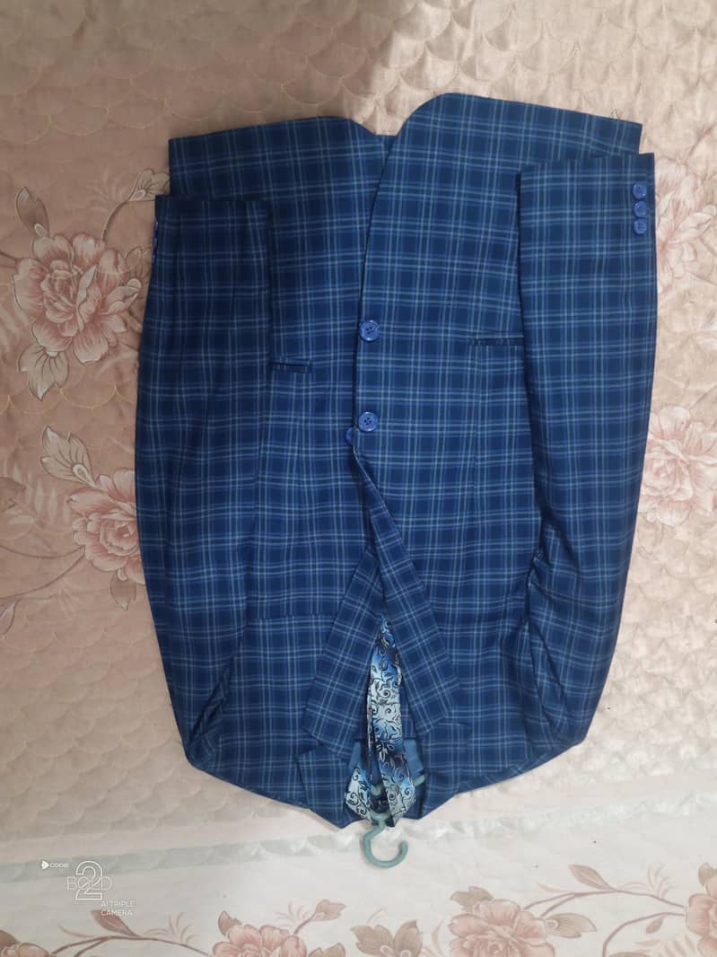 coats pant 2