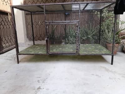 cage for every birds