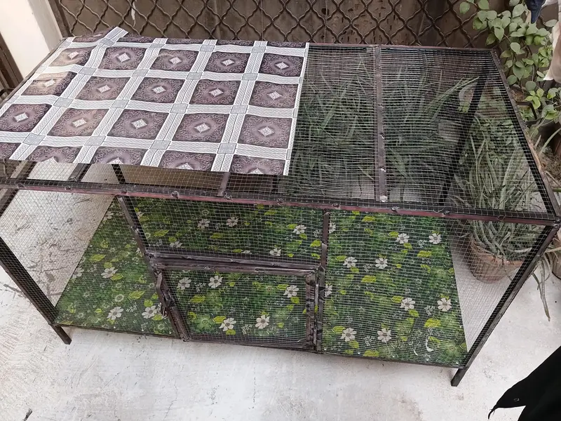 cage for every birds — photo 2