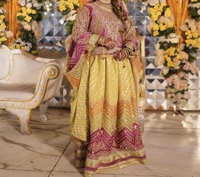 zebtan bridal Mehandi lehenga