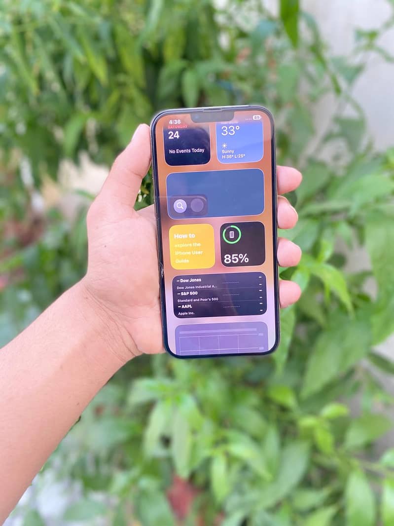 Apple iPhone 13 Pro Max 1