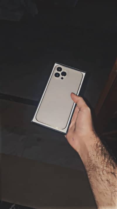 Apple iPhone 12 Pro Max pta approved