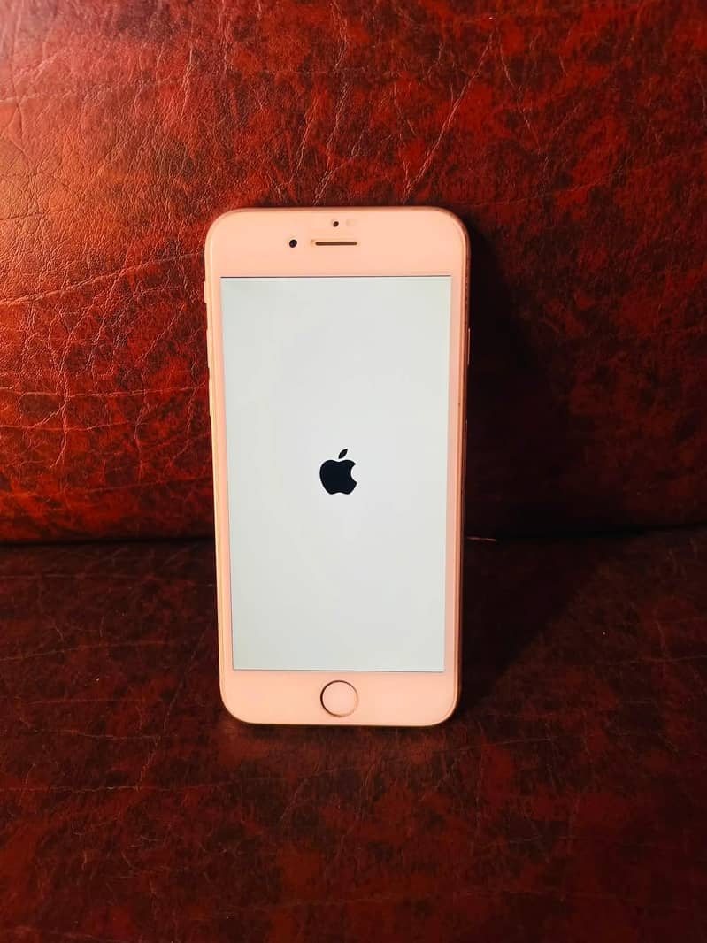 Apple iPhone 6S Plus 1