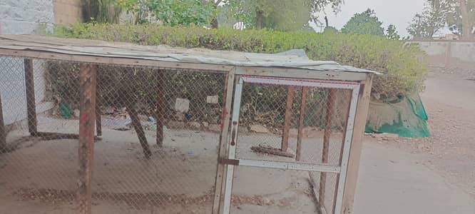 Hen cage
