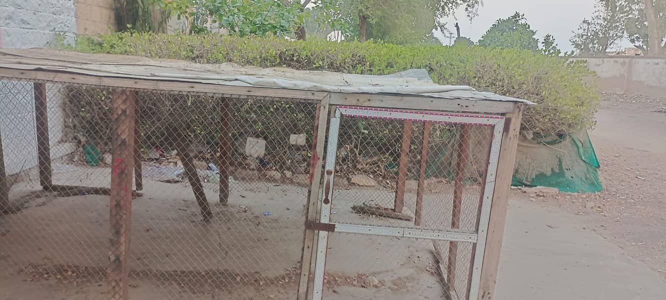Hen cage 0