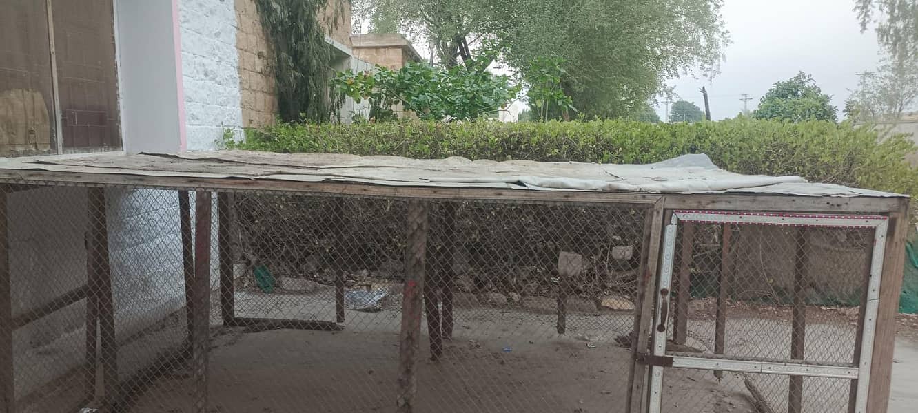 Hen cage 1