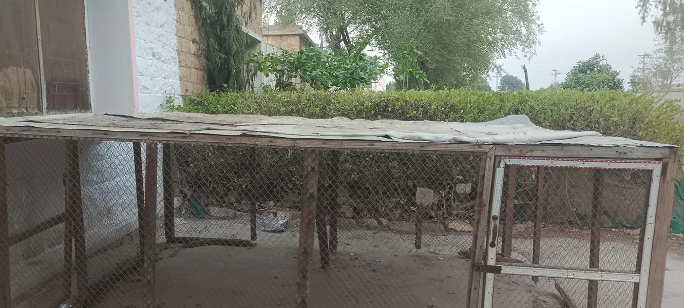 Hen cage — photo 2