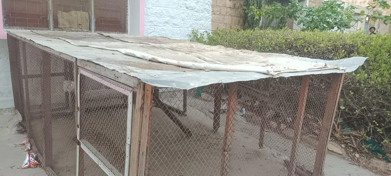 Hen cage — photo 4