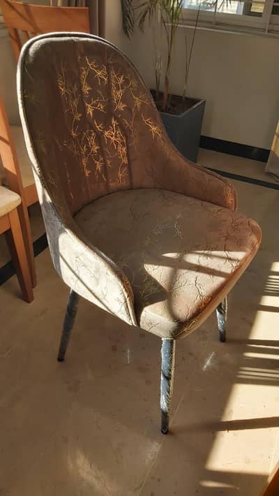 6 Dinning Chairs