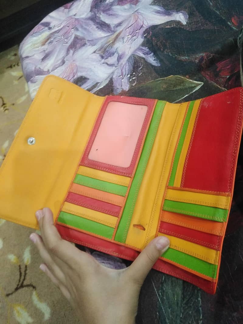 hand bag 1