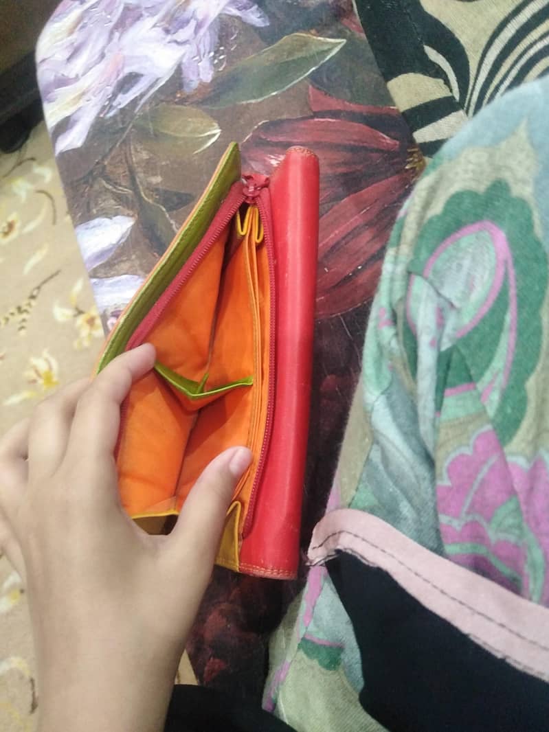 hand bag 2