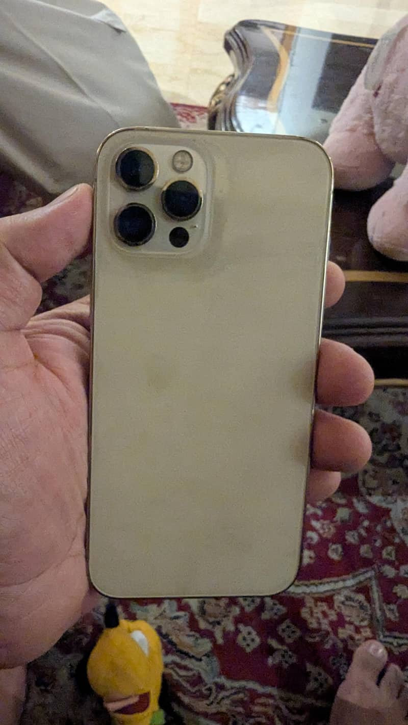 Apple iPhone 13 Pro 1