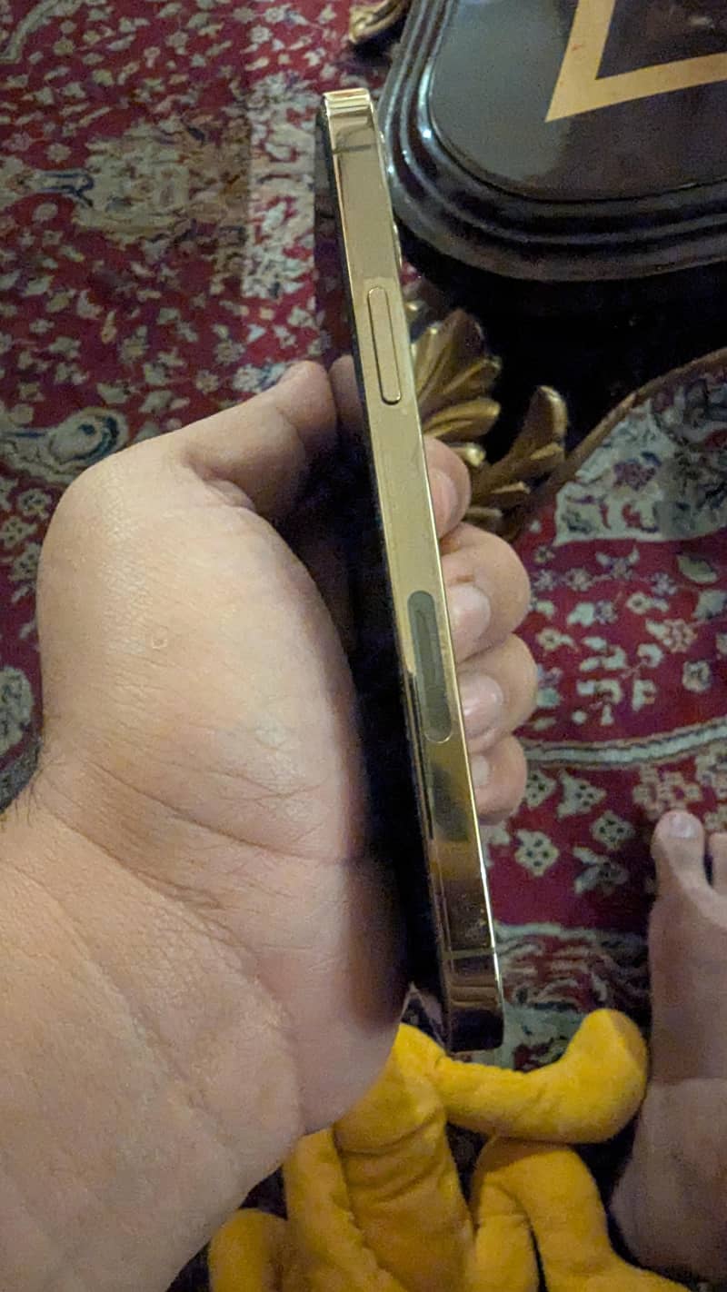 Apple iPhone 13 Pro 4