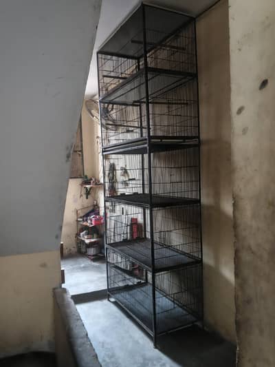 5 portion cage full angel