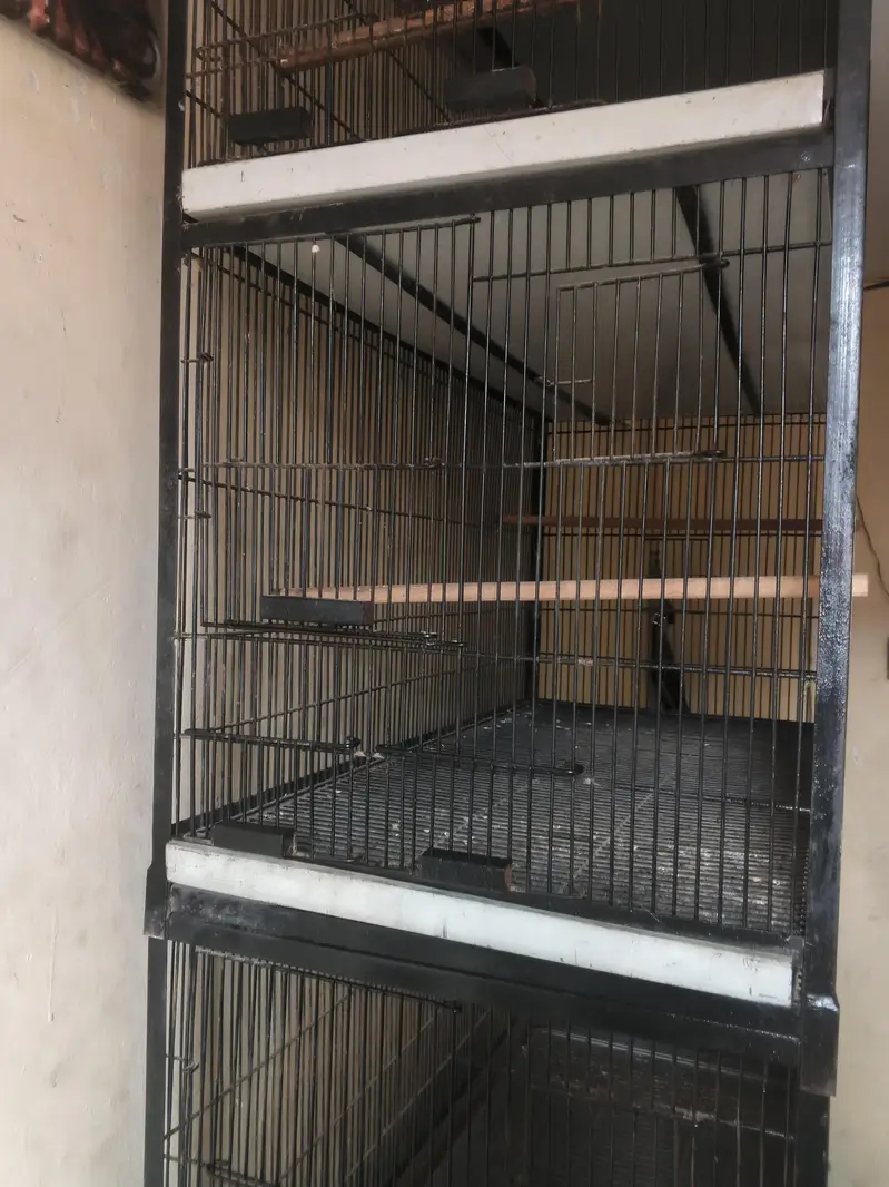 5 portion cage full angel — photo 2