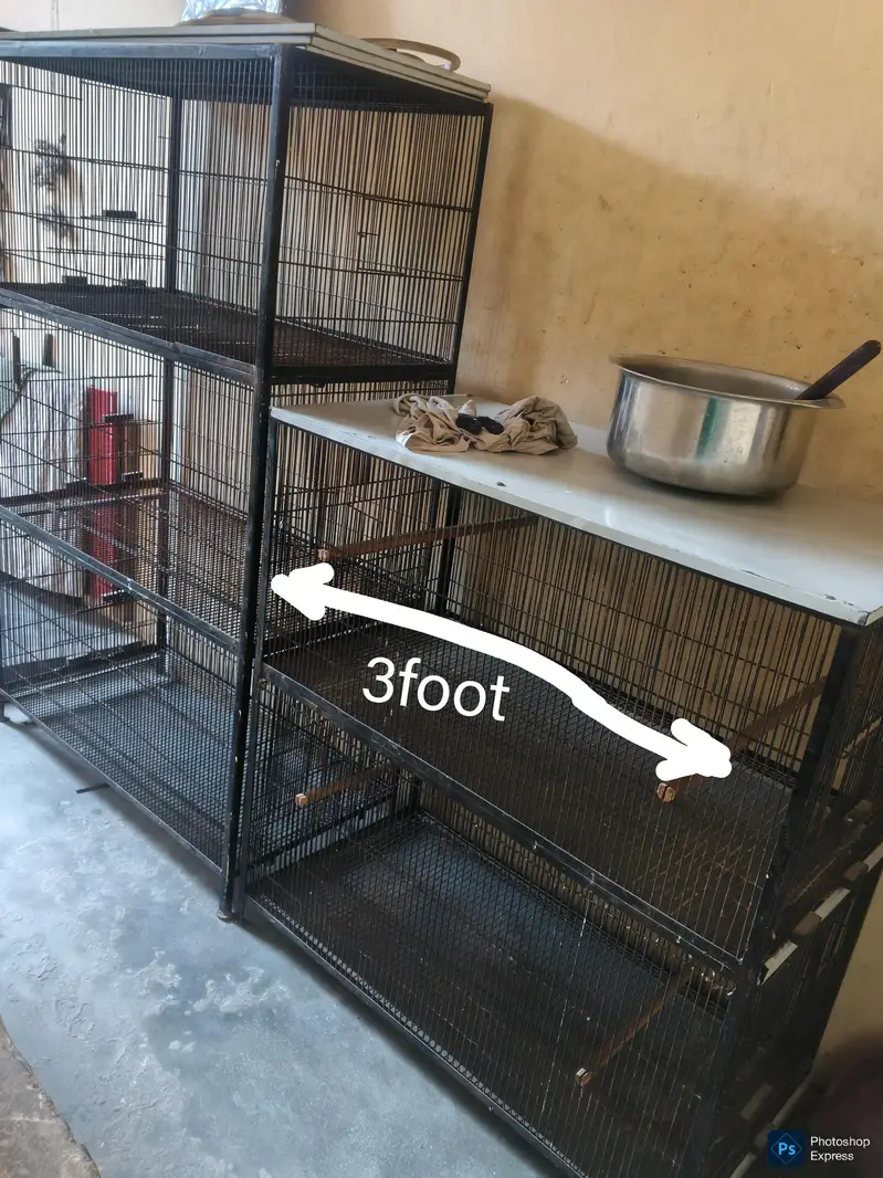 5 portion cage full angel — photo 3