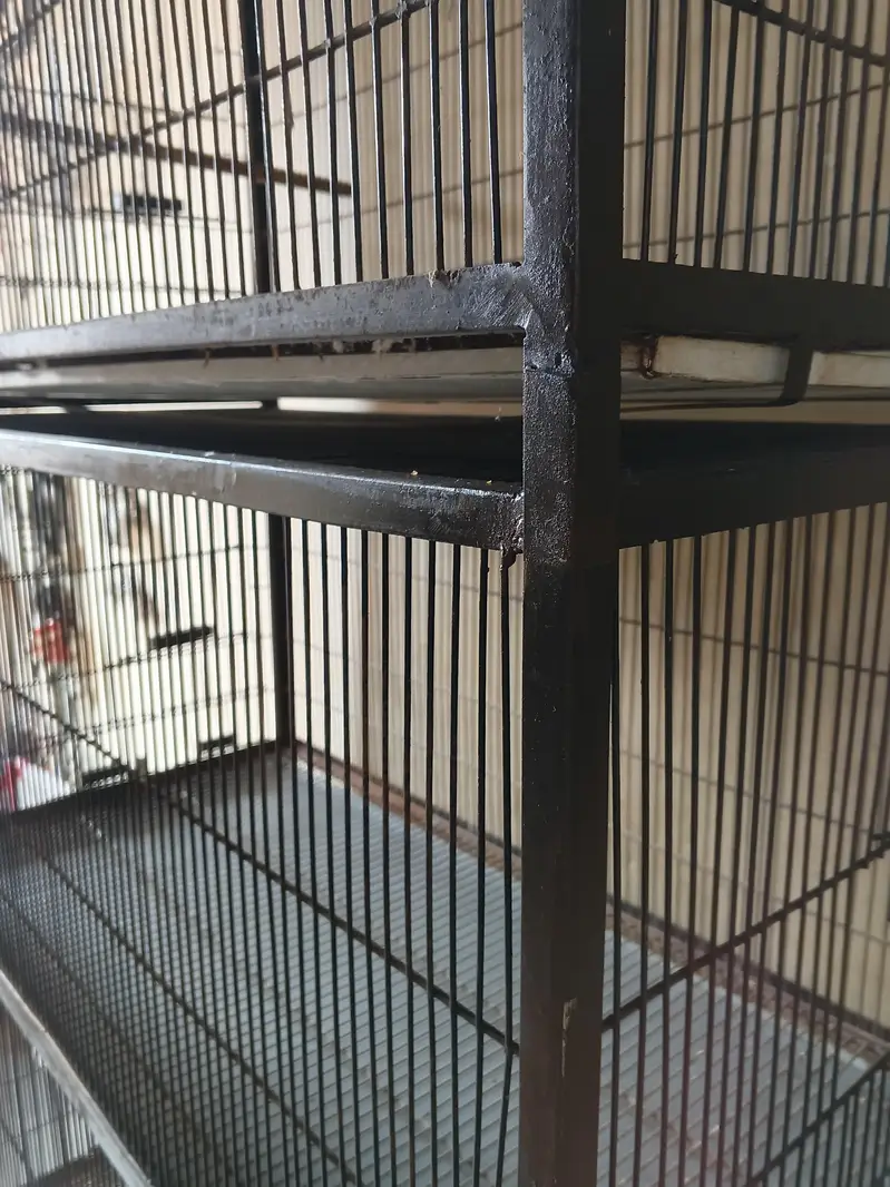 5 portion cage full angel — photo 6