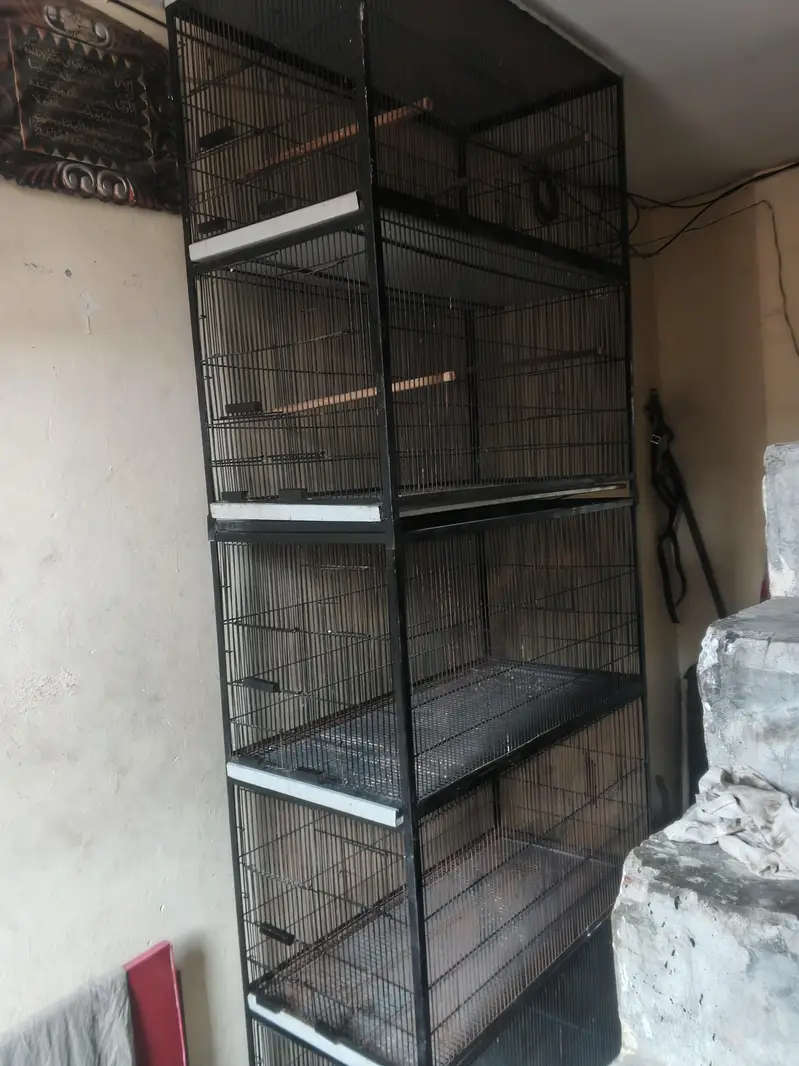 5 portion cage full angel — photo 7